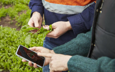Argentina: potencial y limitaciones de la avanzada Agrotech
